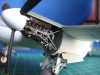 Mosquito