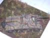 Sd. Kfz. 234/2